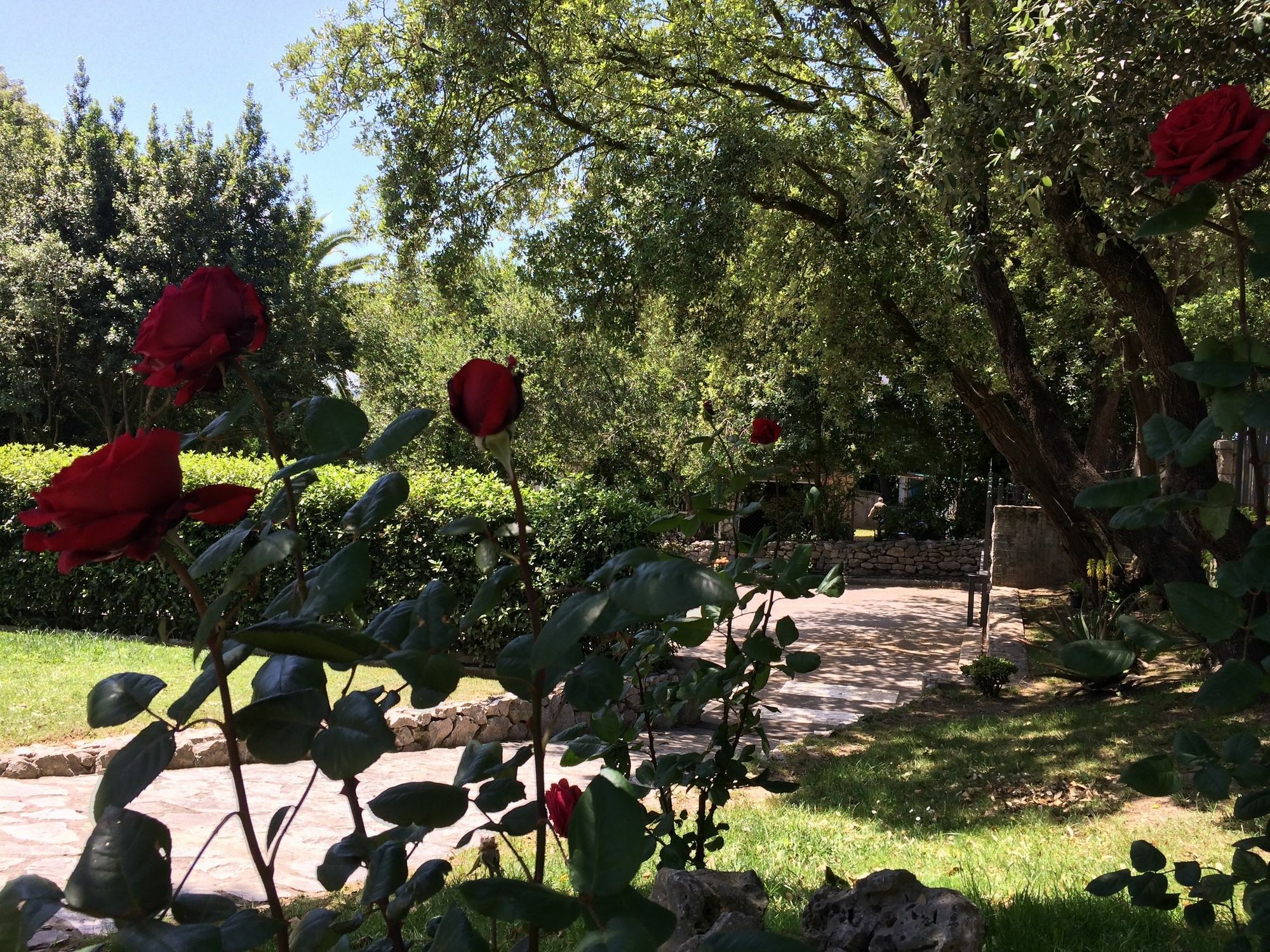 Hotel Posada La Robleda (Adults Only) Arnuero Kültér fotó